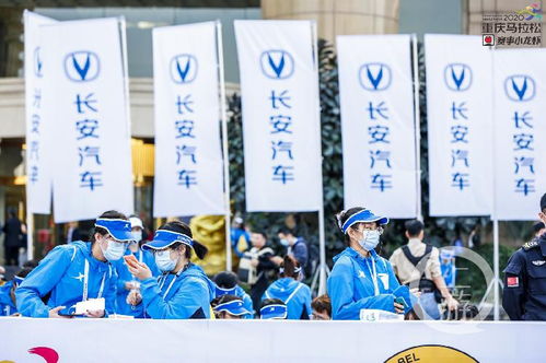 重馬十年 | 年入百萬，重馬造就財(cái)富新機(jī)遇——重慶創(chuàng)業(yè)團(tuán)隊(duì)順富醫(yī)藥的崛起之路